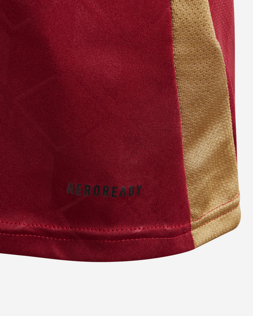 Maillot Domicile Belgique Junior 2024 - Bordeaux/Noir - FootKorner Testing