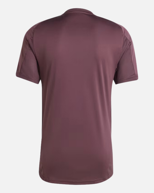 Maillot d'entrainement Bayern Munich 2024/2025 - Bordeaux - FootKorner Testing