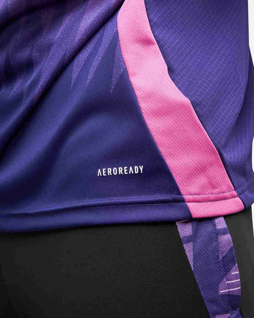 Maillot Extérieur Allemagne 2024 - Rose/Violet - FootKorner Testing